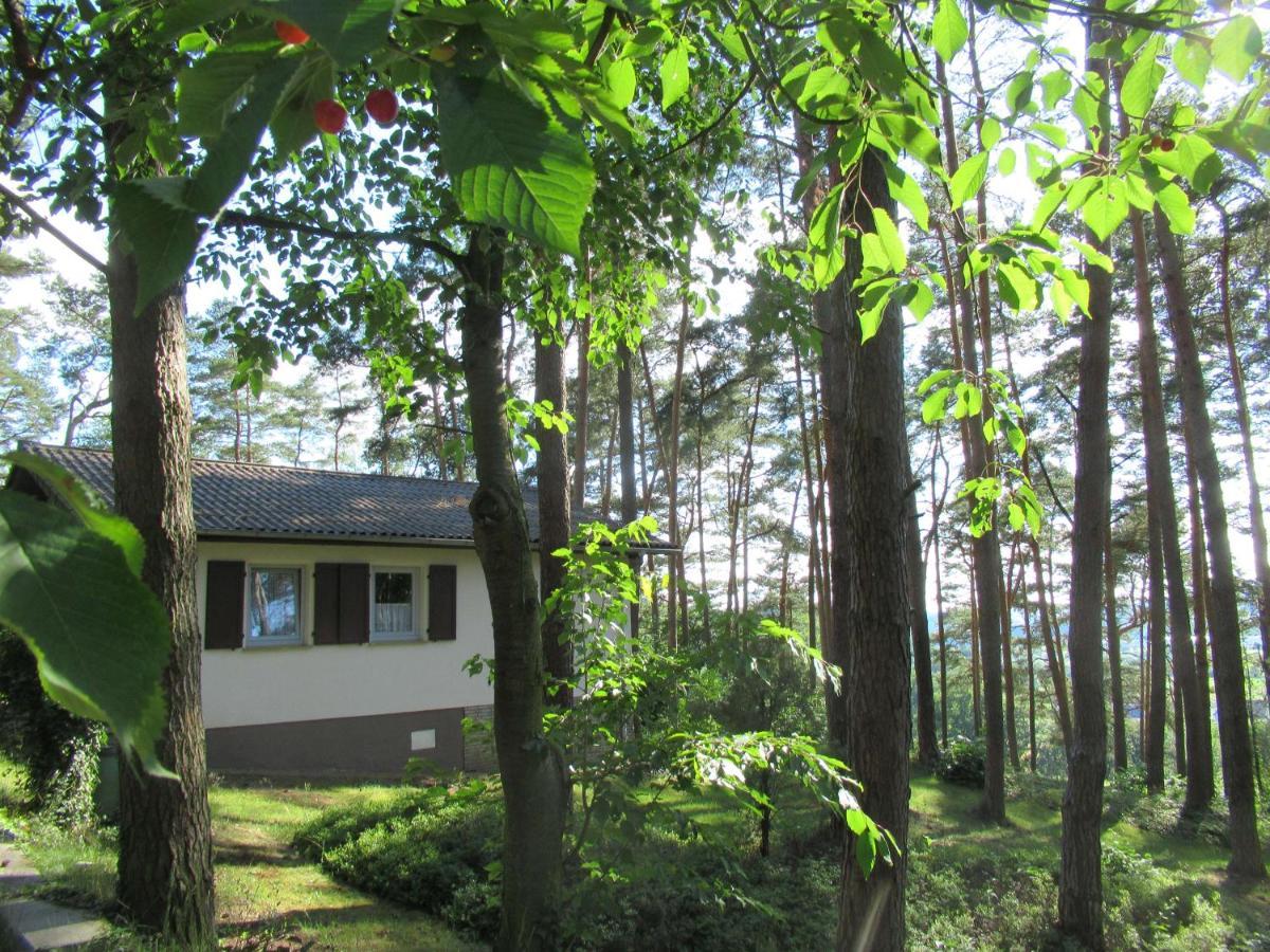Feriendorf Mengshausen Niederaula Exterior foto